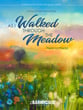 As I Walked Through the Meadow Concert Band sheet music cover